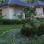 Concrete Bungalows